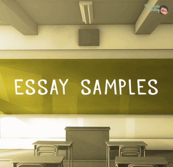 essay example