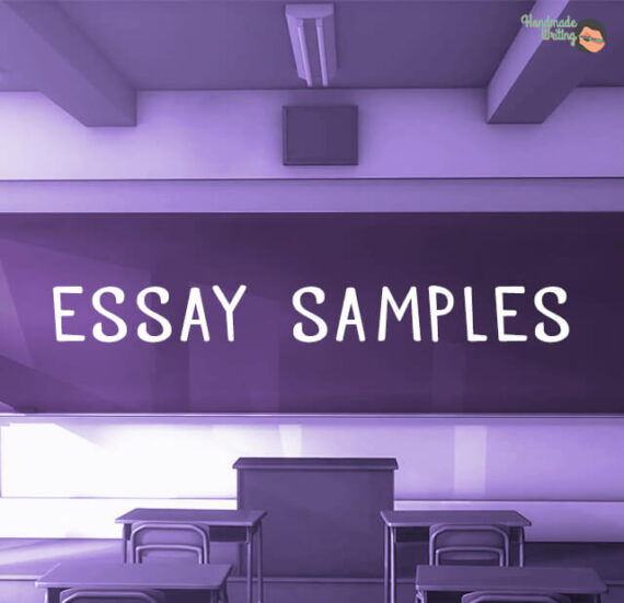 essay sample